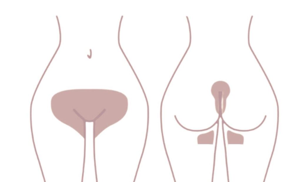 Brazilian wax bij Grace Luxury Wax